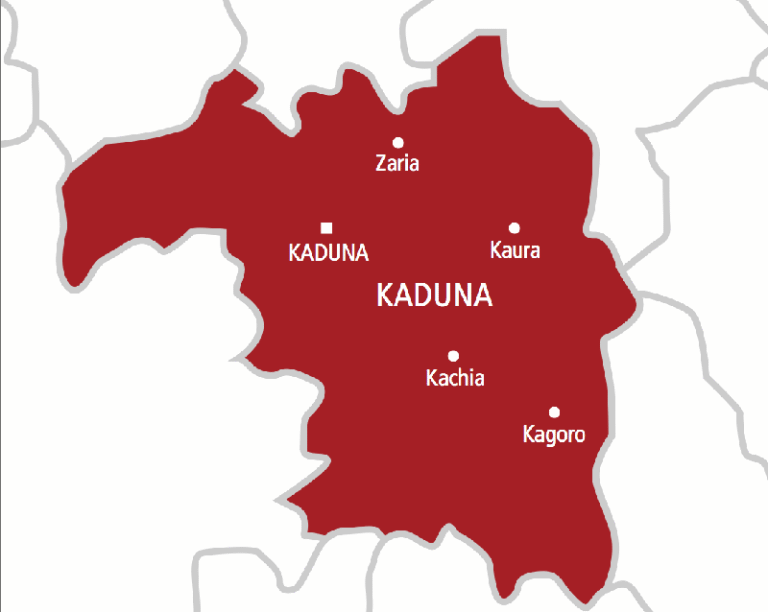 ISMPH, UNFPA Advocate for Greater Support for VVF Survivors in Kaduna