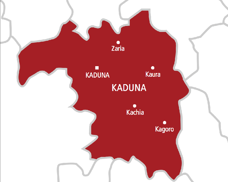 ISMPH, UNFPA Advocate for Greater Support for VVF Survivors in Kaduna